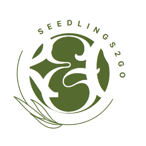 Seedlings2go Logo
